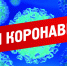 ЦУР против COVID-19: методы борьбы - Газета Степная нива