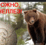 Трихинеллез – опасное заболевание человека и животных - Баганский район