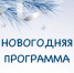 Концерты, сказки и коньки: представлена программа новогодних мероприятий в Новосибирской области - Газета Степная нива