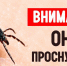 Клещи просыпаются - Газета Степная нива