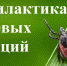 САНПРОСВЕТ: о профилактике клещевых инфекций - Газета Степная нива