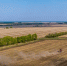 Заморозки и ЧС - Газета Степная нива