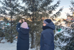 Покормите птиц зимой