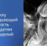 Ответственность ужесточили - Газета Степная нива