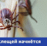 Они проснуться раньше - Газета Степная нива