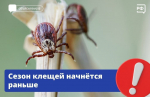 Они проснуться раньше