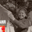Фронтовая баня - Газета Степная нива