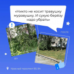 Проблемы решаются там, где о них не молчат