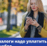 Пора платить налоги - Газета Степная нива
