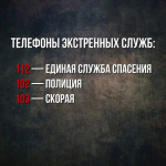 Стоп ТЕРРОР!