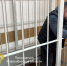 Обманули 35 бойцов - Газета Степная нива