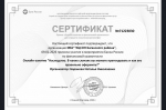 В КЦСОН Баганского района прошло онлайн-занятие по вопросам наследства