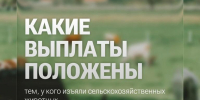 Новых случаев нет - Газета Степная нива