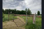 На территории Баганского района в рамках инициативного бюджетирования в 2027 году планируется к реализации 9 инициативных проектов