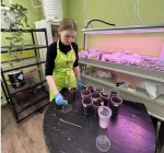 От дронов до полезных суперфудов